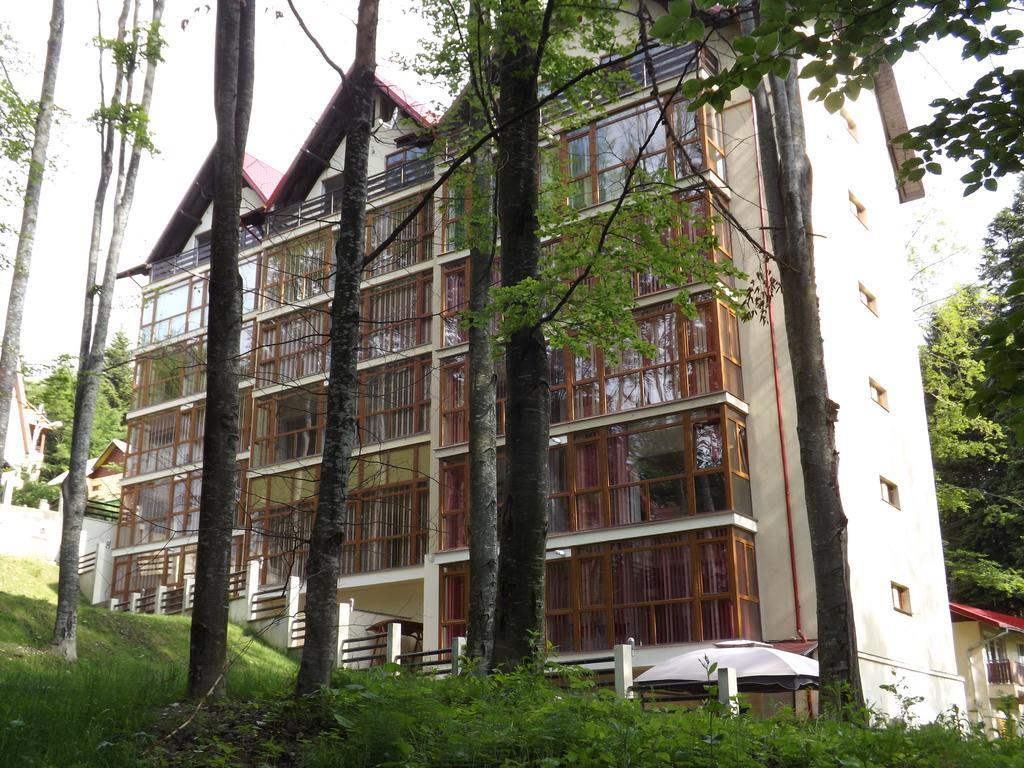 Alpin Residence Sinaia Bagian luar foto